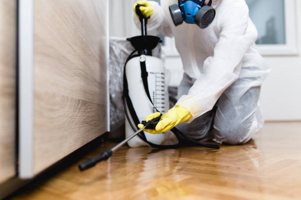 Best Pest Removal Services  in Chenoa, IL