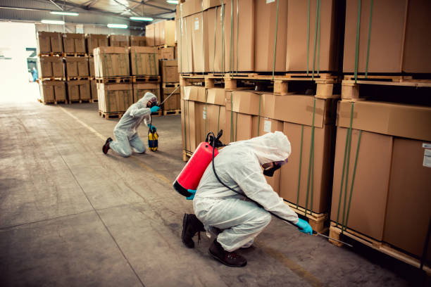 Best Exterminator Services  in Chenoa, IL