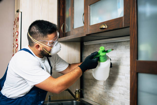 Best Residential Pest Control  in Chenoa, IL