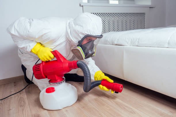 Best Best Pest Control Companies  in Chenoa, IL