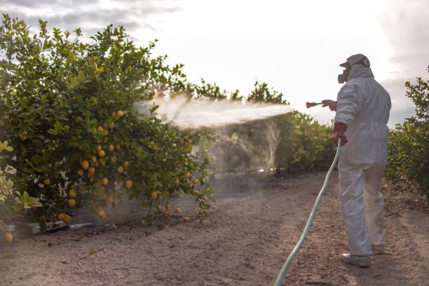 Best Cockroach Control Services  in Chenoa, IL