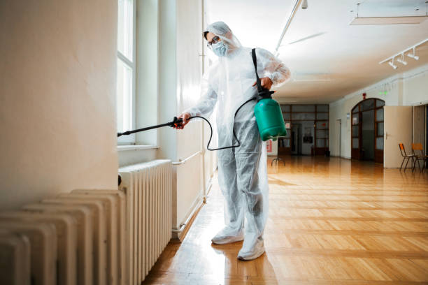 Wasp Removal Services in Chenoa, IL